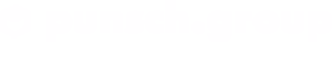 punsch.group company logo
